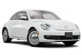 Фото Beetle