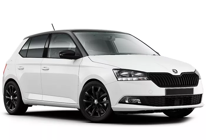 ТО и ремонт авто Skoda Fabia